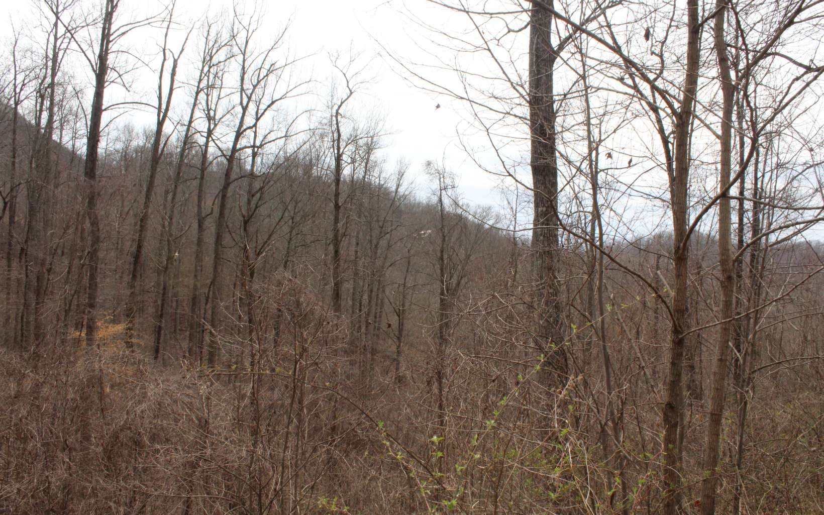 21 N Ridge High Meadows, Hayesville NC 28904 - Photo