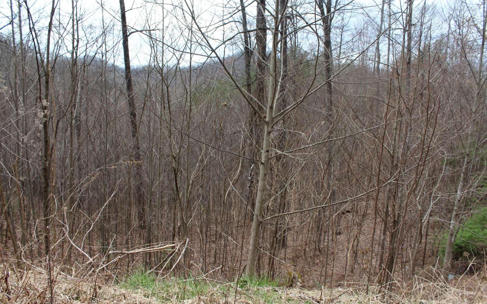 21 N Ridge High Meadows, Hayesville NC 28904 - Photo