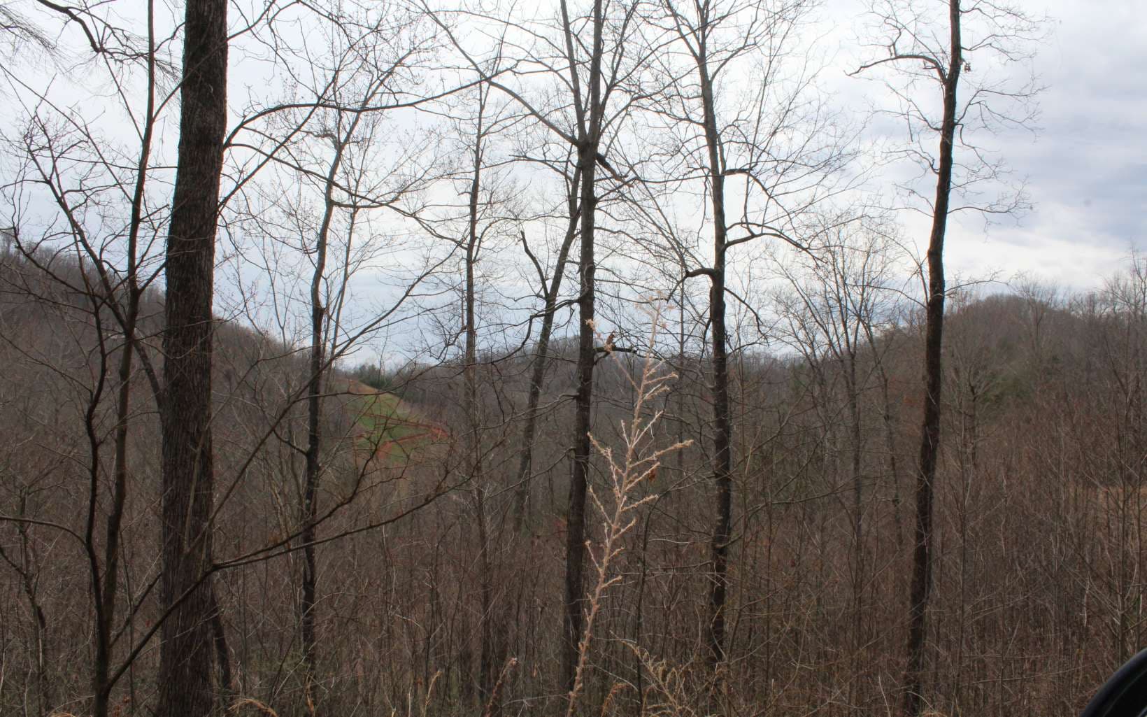27&28 N Ridge High Meadows, Hayesville NC 28904 - Photo