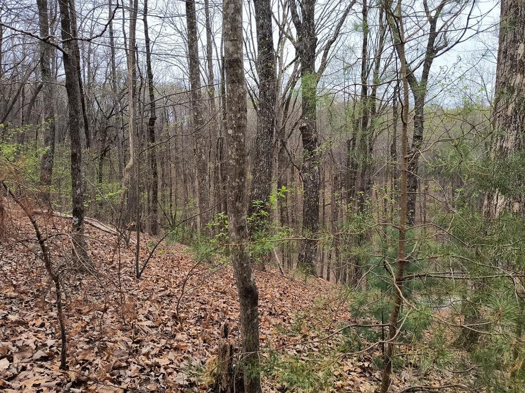 M99 Sleepy Hollow Road, Ellijay GA 30536 - Photo