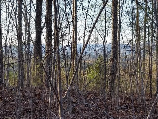 00 Dasali Way, Murphy NC 28906 - Primary photo