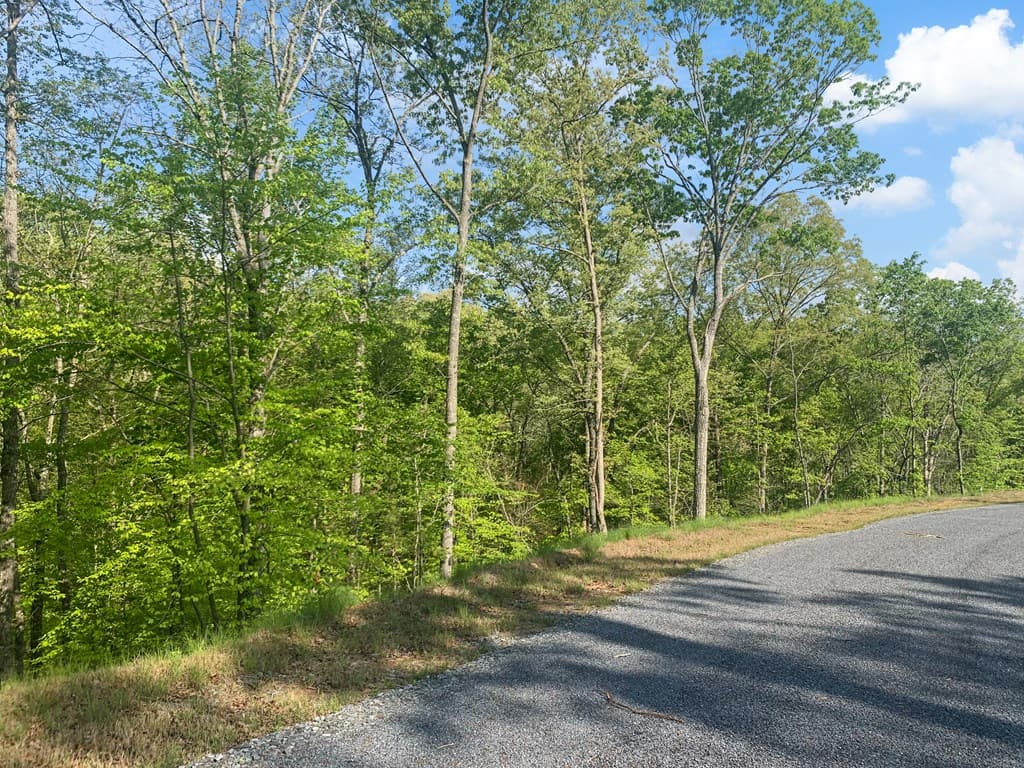 Lot 274 Canoe Way, Talking Rock GA 30175 - Photo