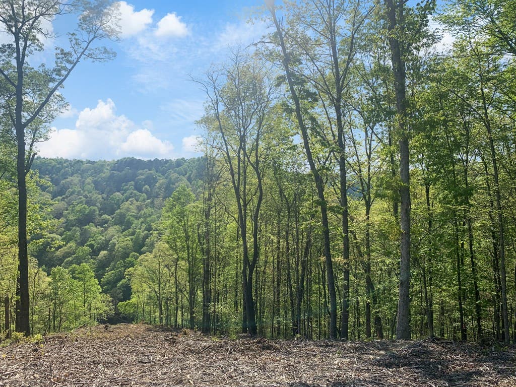 Lot 274 Canoe Way, Talking Rock GA 30175 - Photo
