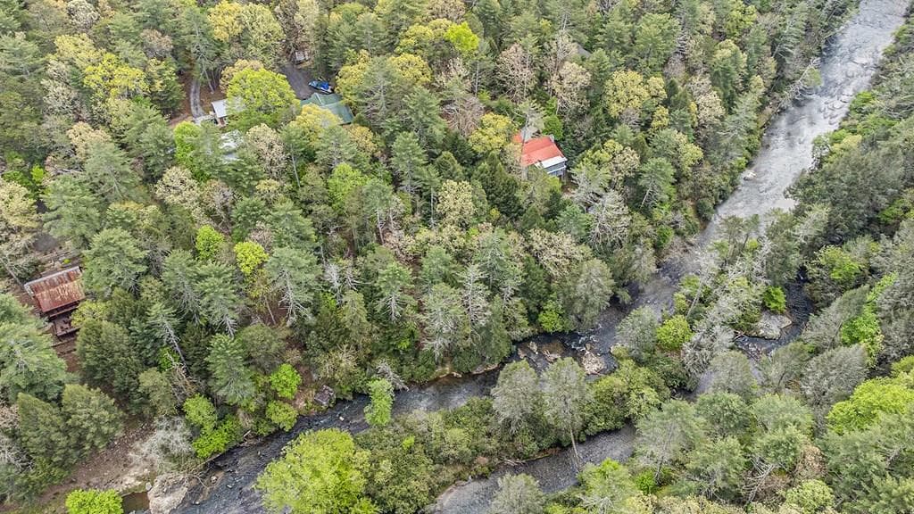 LOT 48 Indian Cave Road, Ellijay GA 30536 - Photo