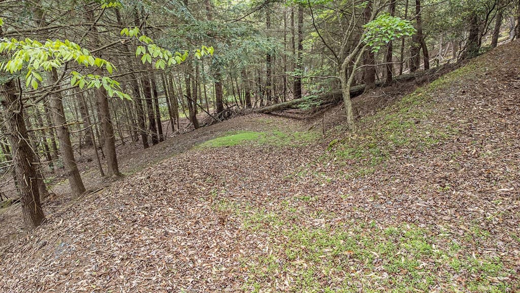 LOT 48 Indian Cave Road, Ellijay GA 30536 - Photo