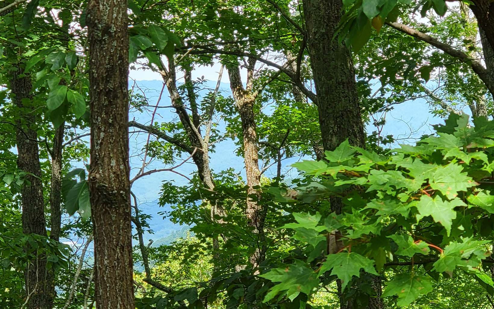 28 & 29 Oak Ridge North, Hayesville NC 28904 - Photo