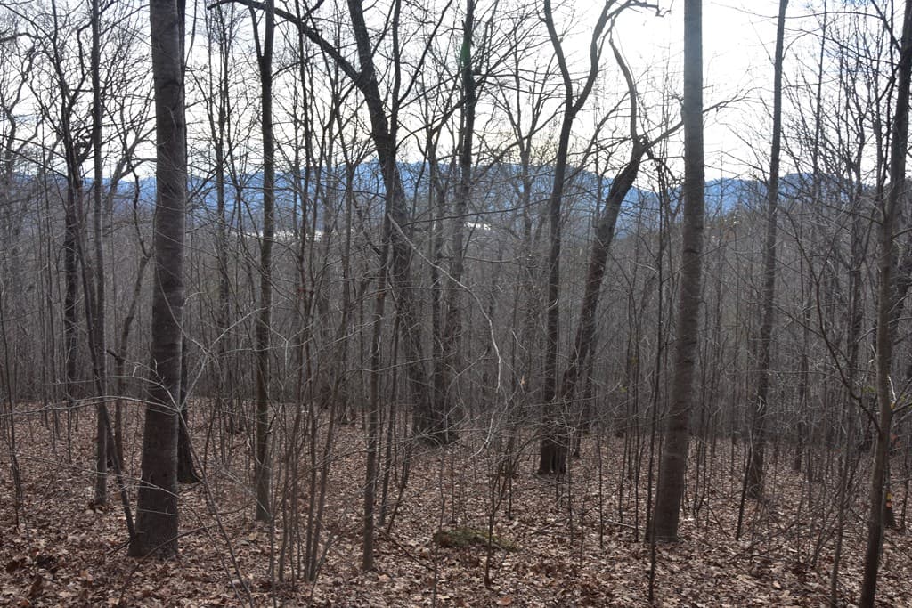Lot #50 Broken Arrow, Hayesville NC 28904 - Photo