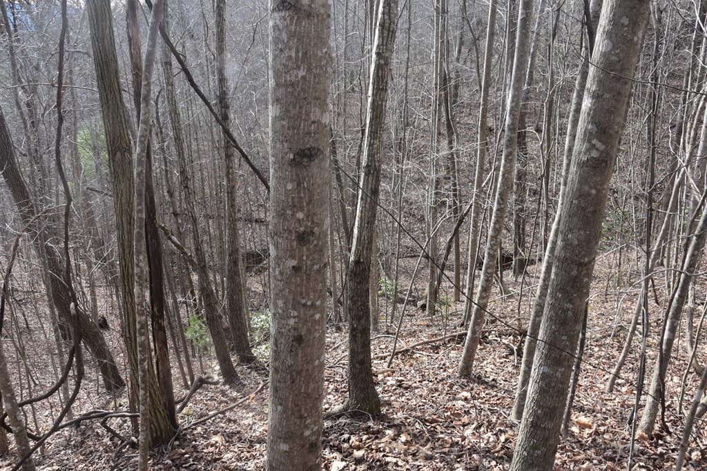 Lot #50 Broken Arrow, Hayesville NC 28904 - Photo