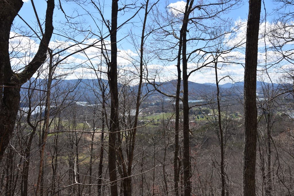 Lot #53 Highland Trace, Hayesville NC 28904 - Photo