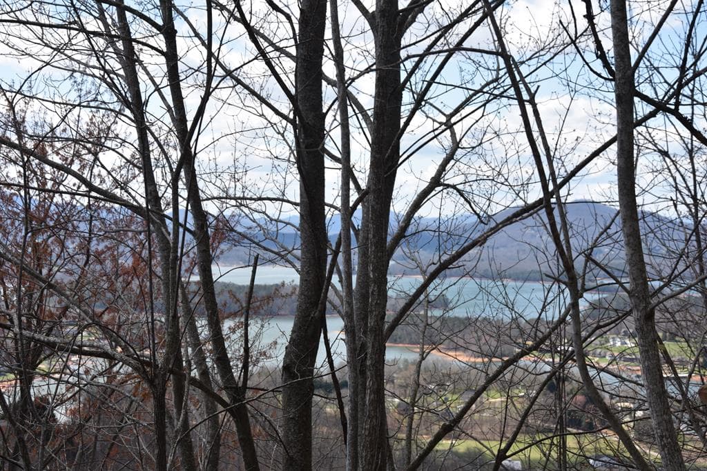 Lot #53 Highland Trace, Hayesville NC 28904 - Photo