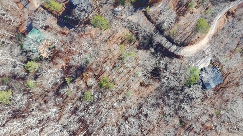 Lot 468 Cherokee Court, Ellijay GA 30540 - Photo