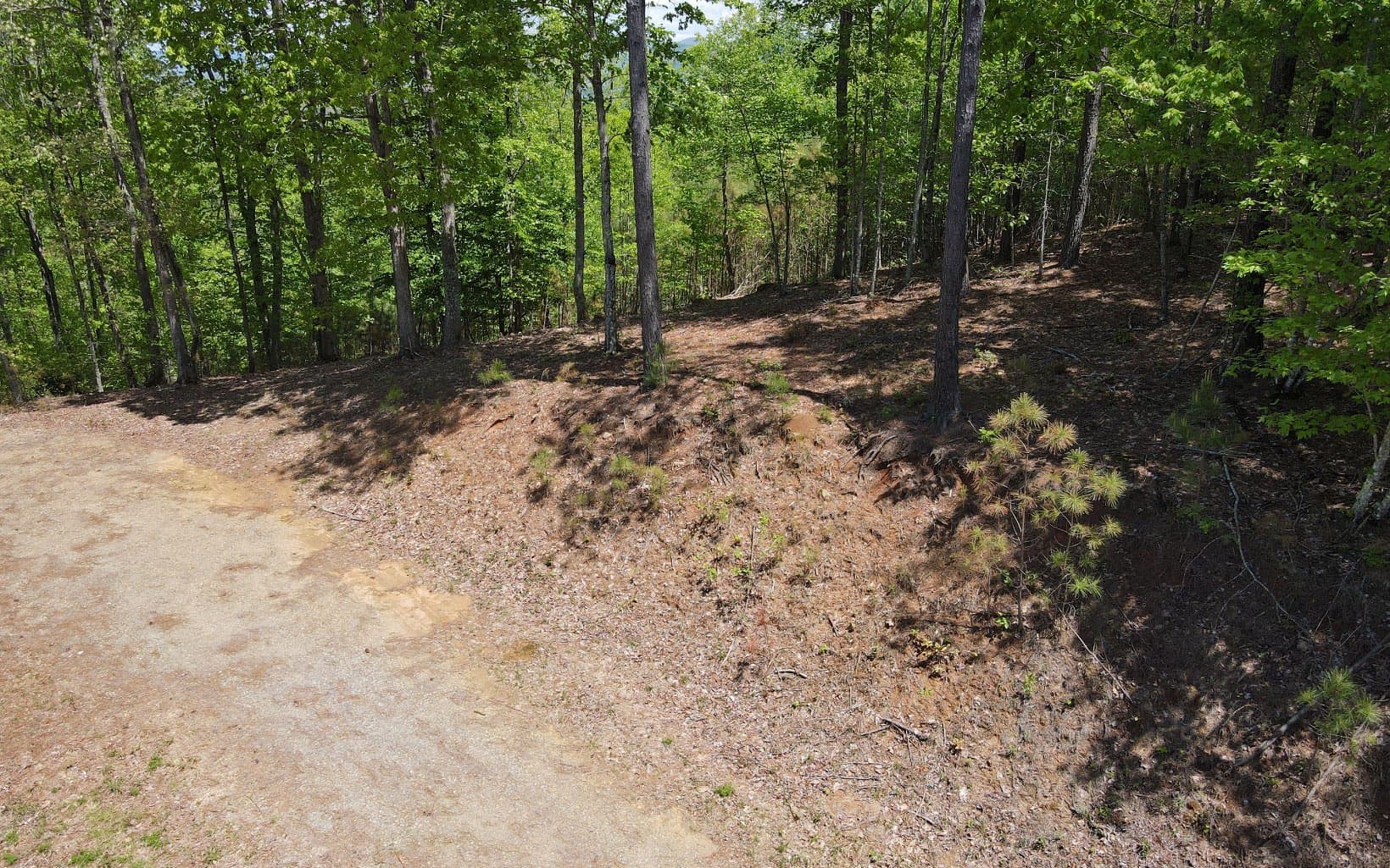 Lot 88 Thirteen Hundred, Blairsville GA 30512 - Photo