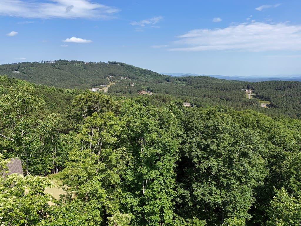 Lot 88 Thirteen Hundred, Blairsville GA 30512 - Photo