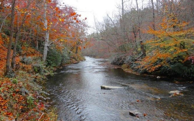 Lot 53 Brasstown Trails, Warne NC 28909 - Photo