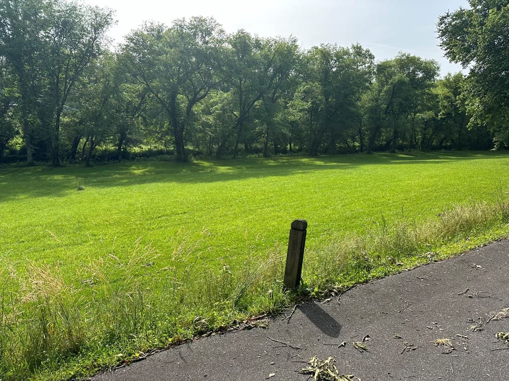 Lot 56 Brasstown Trails, Warne NC 28909 - Photo
