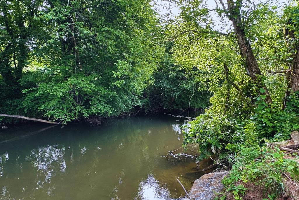 Lot 44 Brasstown Trails, Warne NC 28909 - Photo