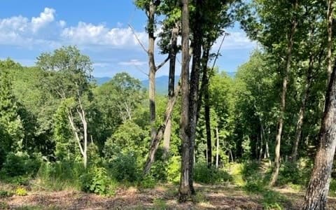 Lot 119 Highland Park, Blairsville GA 30512 - Photo
