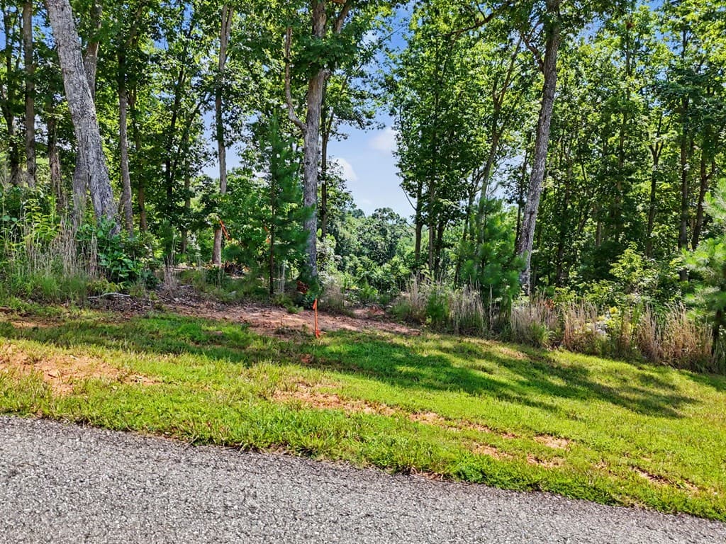 Lot 119 Highland Park, Blairsville GA 30512 - Photo