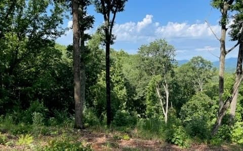 Lot 119 Highland Park, Blairsville GA 30512 - Photo