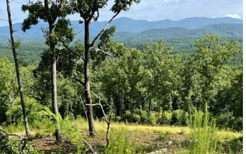 116/117 Highland Park, Blairsville GA 30512 - Photo