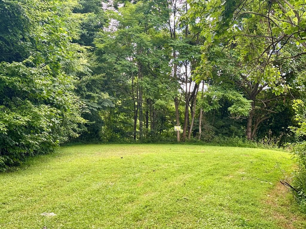 Lot 32 Shiloh Trail, Hayesville NC 28904 - Photo