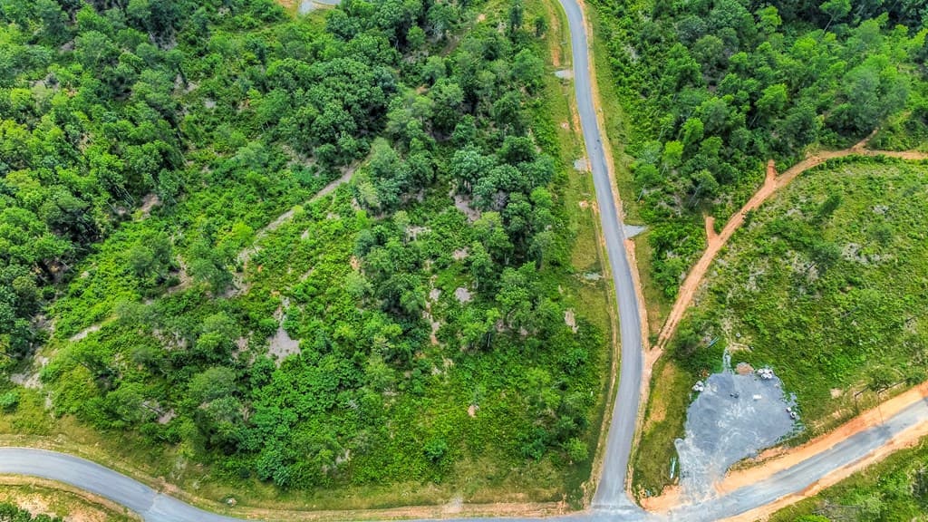 Lot 207 Oak Park Drive, Talking Rock GA 30175 - Photo