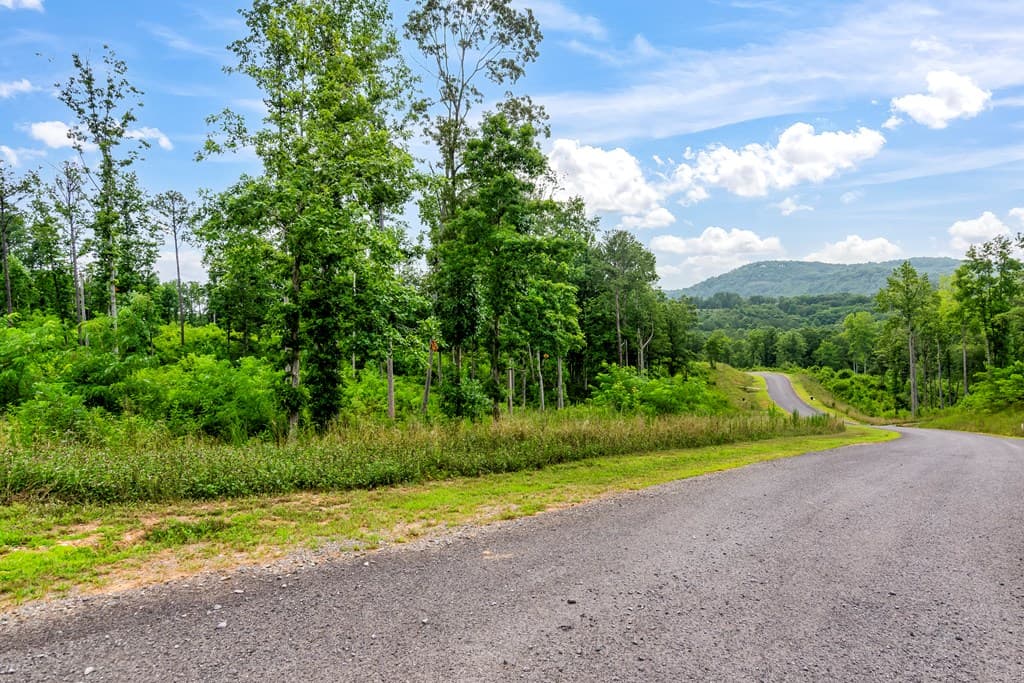 Lot 207 Oak Park Drive, Talking Rock GA 30175 - Photo