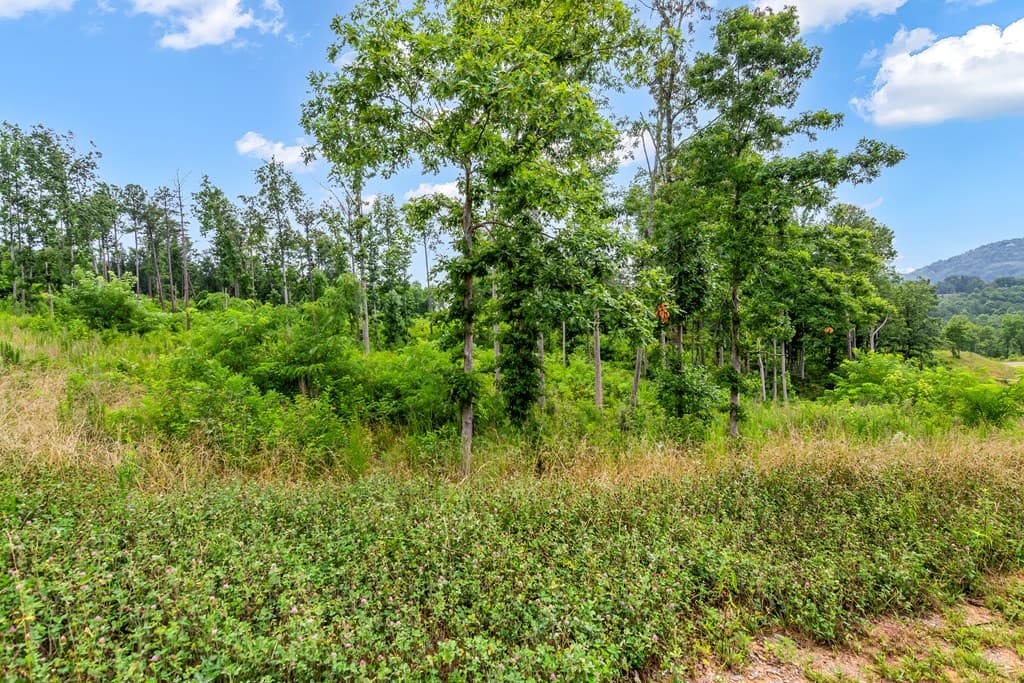 Lot 207 Oak Park Drive, Talking Rock GA 30175 - Photo
