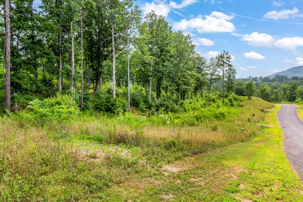 Lot 207 Oak Park Drive, Talking Rock GA 30175 - Photo
