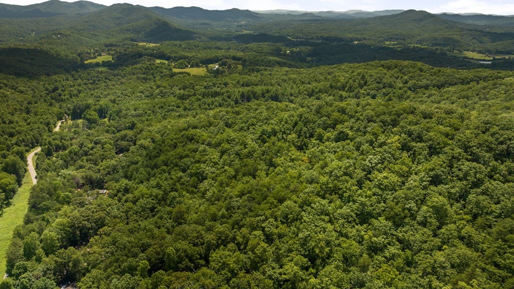 1AC Bruce Wike Lane, Brasstown NC 28902 - Photo