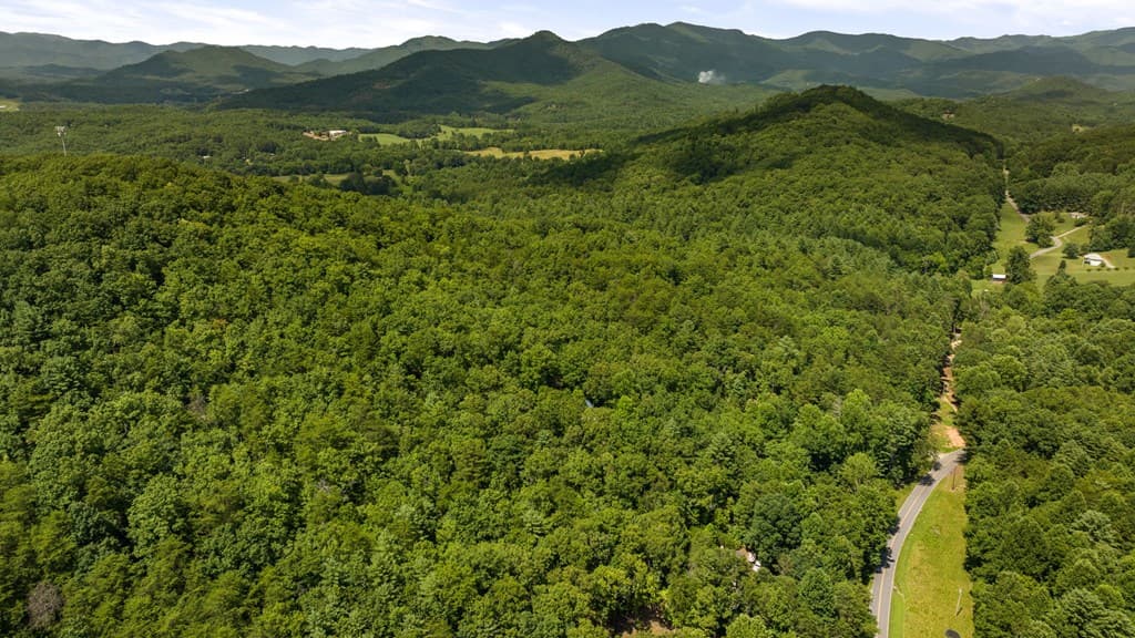 1AC Bruce Wike Lane, Brasstown NC 28902 - Photo