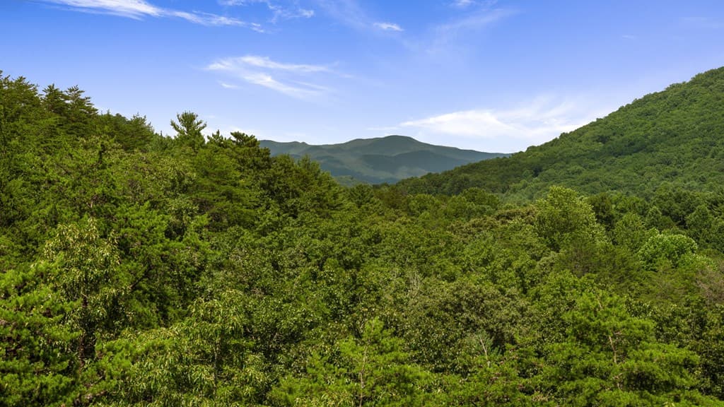 1AC Bruce Wike Lane, Brasstown NC 28902 - Photo