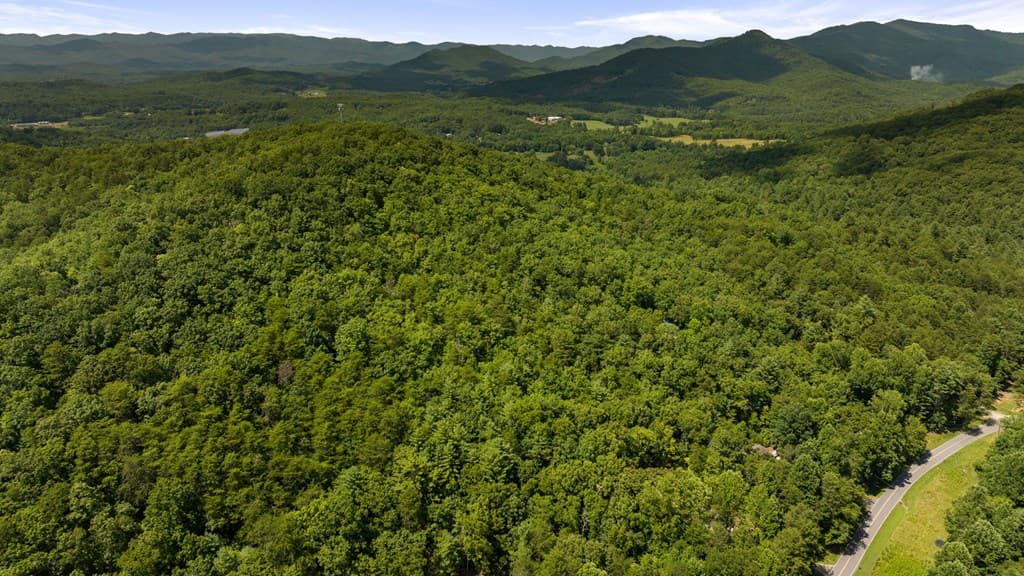 1AC Green Cove Road, Brasstown NC 28902 - Photo