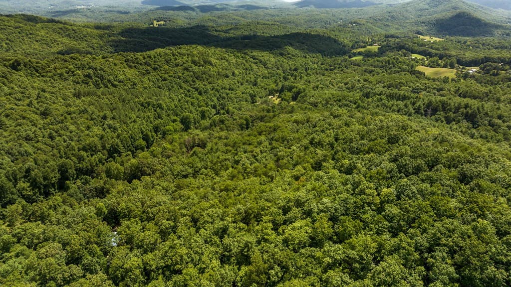 1AC Green Cove Road, Brasstown NC 28902 - Photo