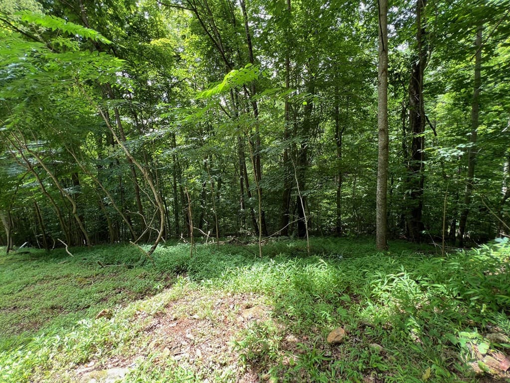 00 Overlook Drive, Young Harris GA 30582 - Photo