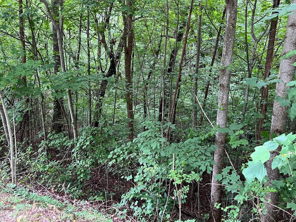 00 Overlook Drive, Young Harris GA 30582 - Photo
