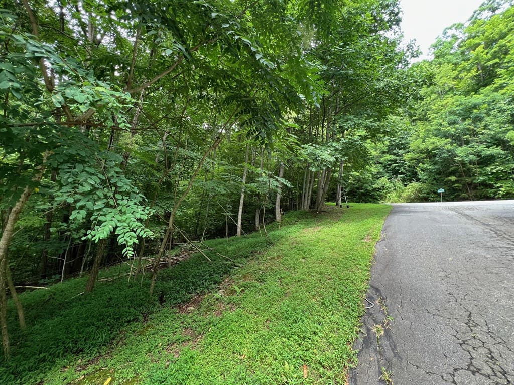 00 Overlook Drive, Young Harris GA 30582 - Photo