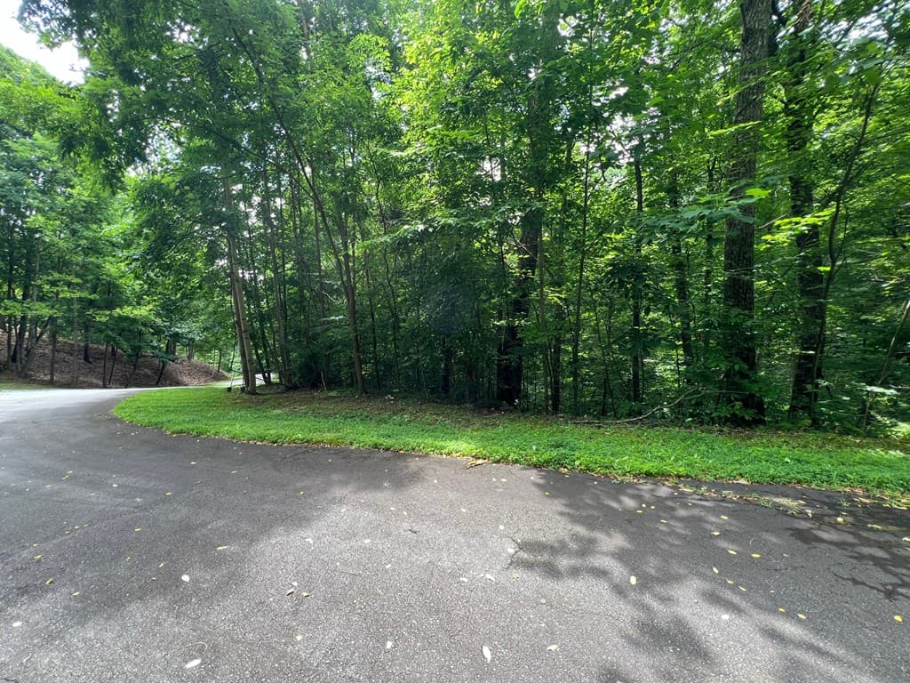 00 Overlook Drive, Young Harris GA 30582 - Photo