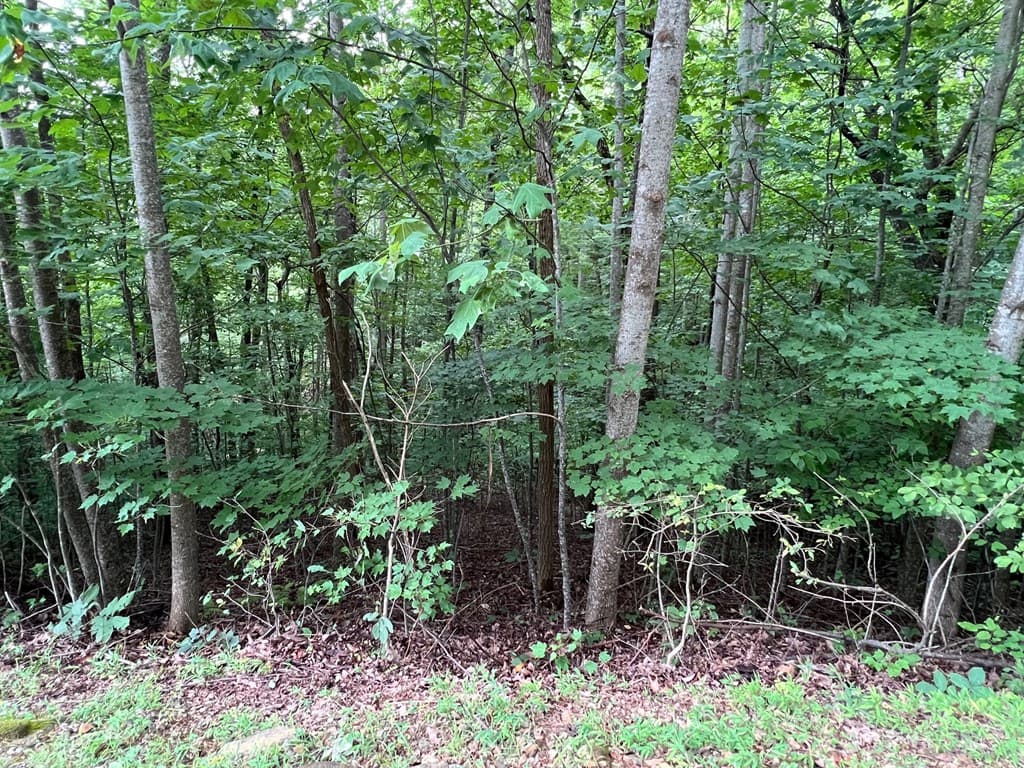 00 Overlook Drive, Young Harris GA 30582 - Photo