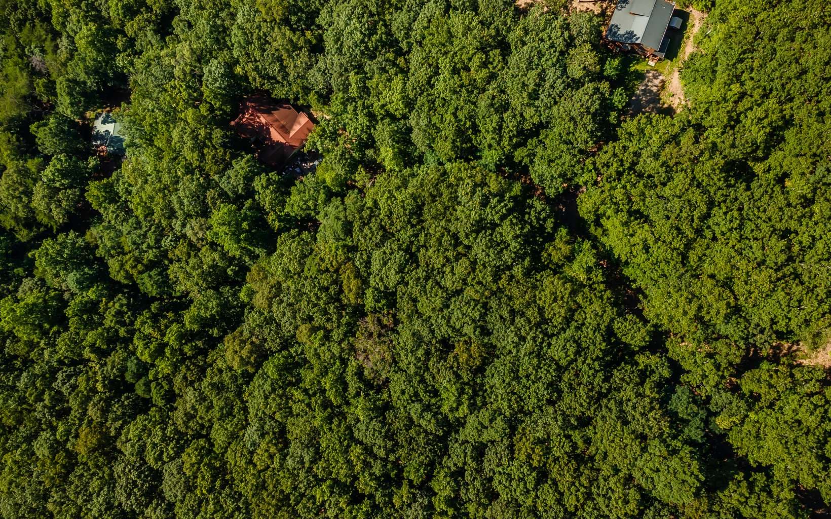 L11 Mattie Lane, Blairsville GA 30512 - Photo