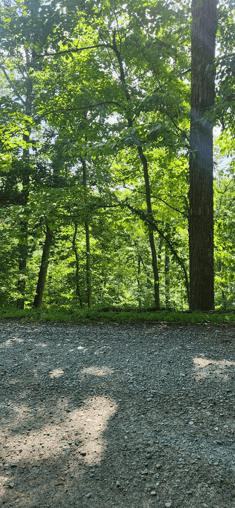 0 Mohawk Trail, Ellijay GA 30540 - Photo