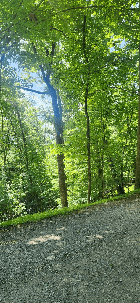 0 Mohawk Trail, Ellijay GA 30540 - Photo