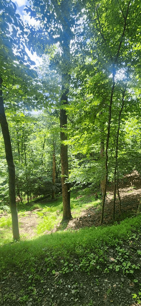 0 Mohawk Trail, Ellijay GA 30540 - Primary photo