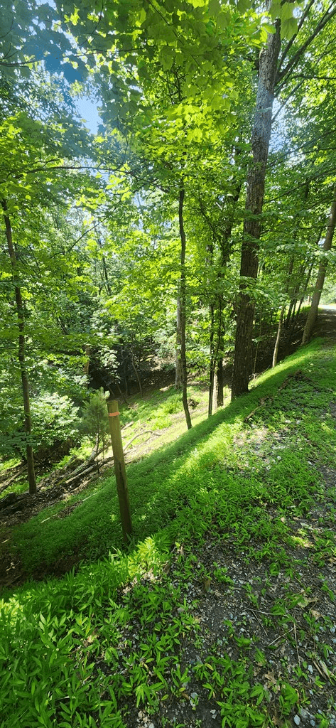 0 Mohawk Trail, Ellijay GA 30540 - Photo