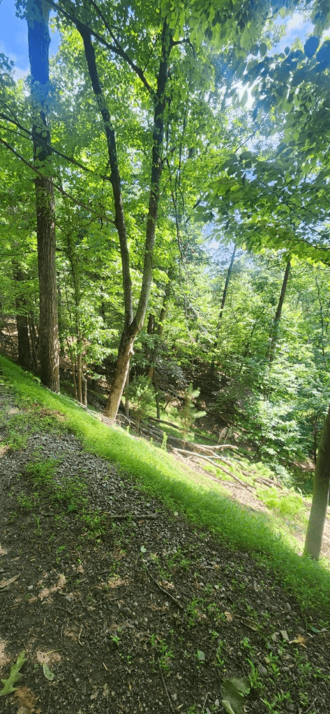0 Mohawk Trail, Ellijay GA 30540 - Photo