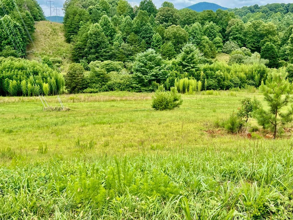 48 Madeline Way, Blairsville GA 30512 - Photo