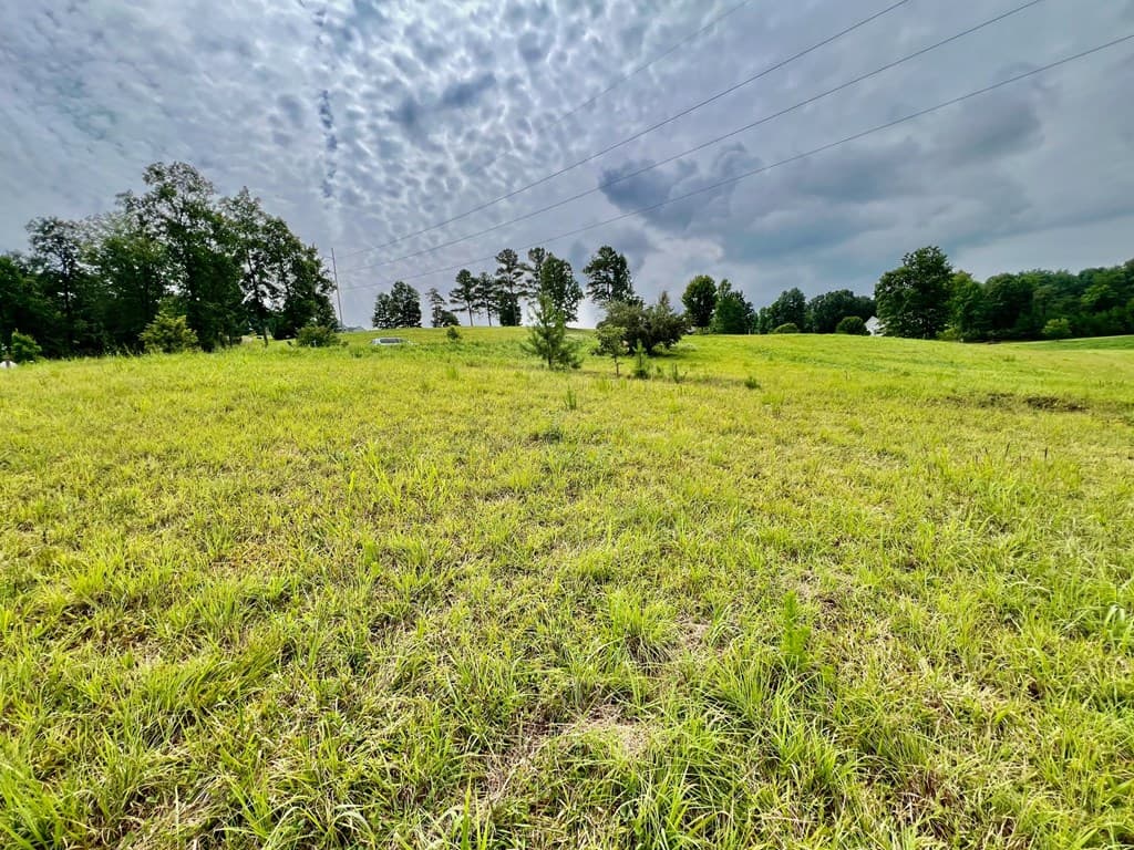 48 Madeline Way, Blairsville GA 30512 - Photo