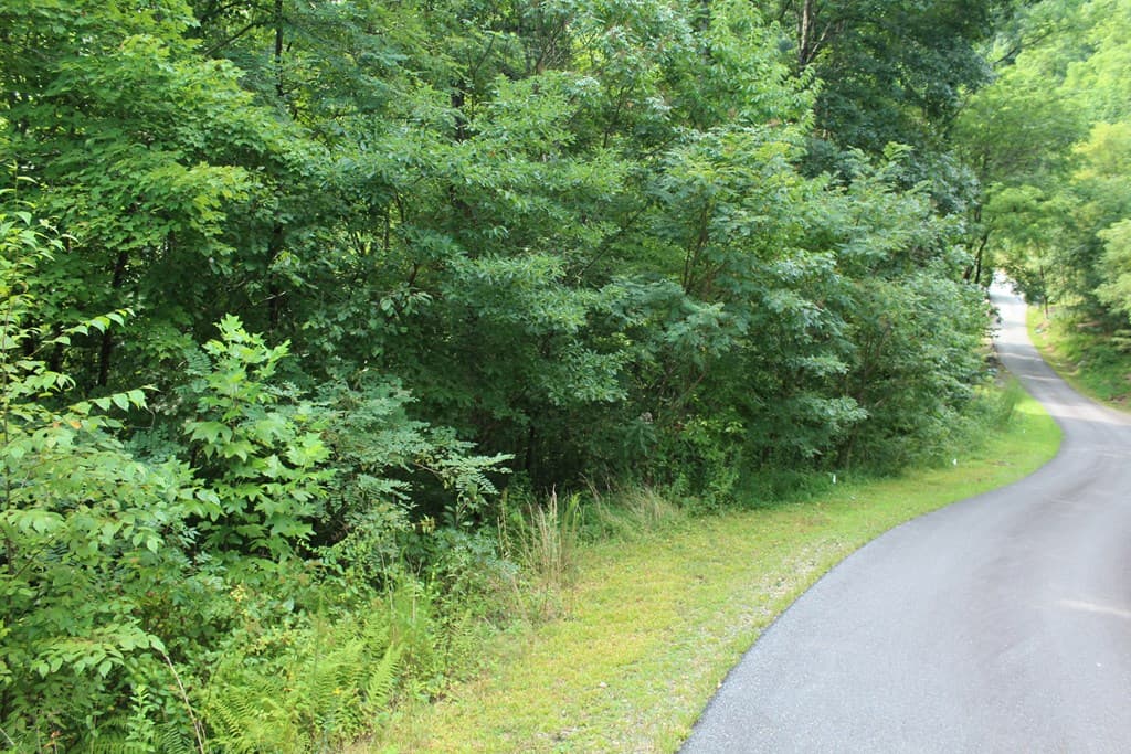 Lot 26 Trillium Heights Circle, Hayesville NC 28904 - Photo