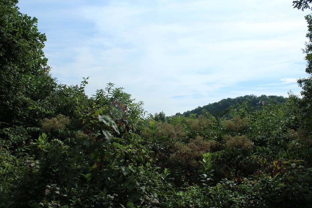 Lot 26 Trillium Heights Circle, Hayesville NC 28904 - Photo
