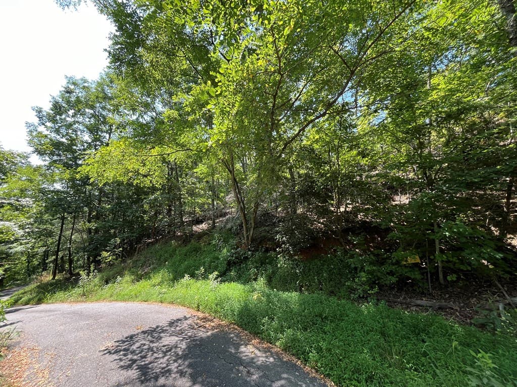Lot 14 Bell Lake View, Hayesville NC 28904 - Photo